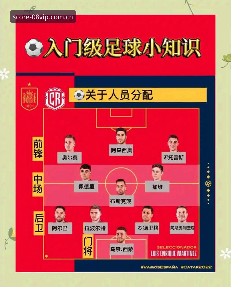 VIP体育正版比分使用指南：从新手到达人的完整教程