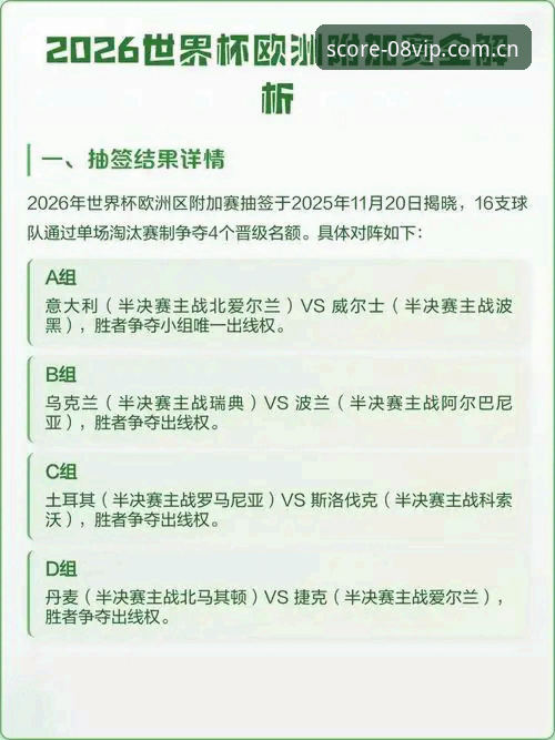 2026世界杯观赛障碍深度解析：08VIP体育平台教你如何应对签证困局