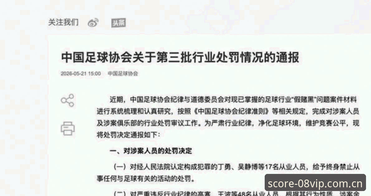 VIP体育进球提醒 中国足协第三批禁足名单最新动态:17人终身禁足,48人面临五年以下处罚